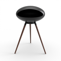 The Clariere Fireplace