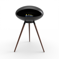 The Clariere Fireplace