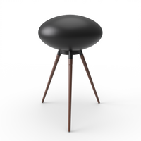 The Clariere Fireplace